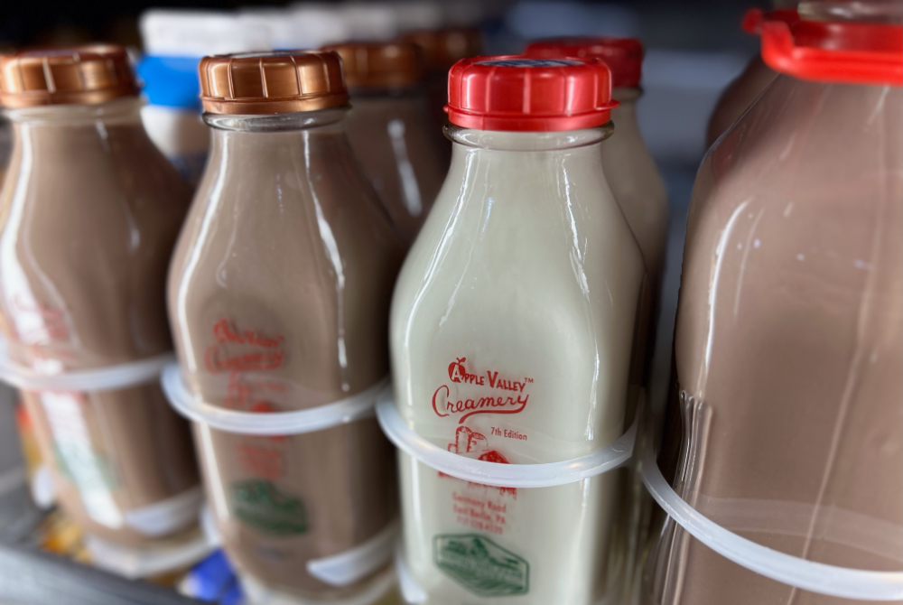 Daisy Hill Kitchen & Grill